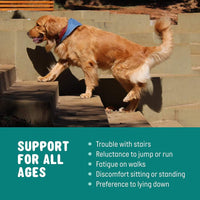 Vitality Soft Chews for Dogs™